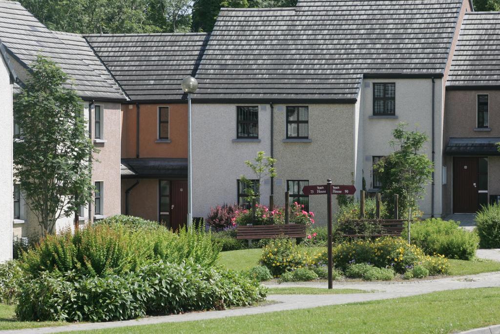 Brennan Court Guest Accommodation Limerick Junction المظهر الخارجي الصورة